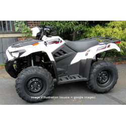 Kawasaki 450 Brute Force...